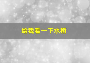 给我看一下水稻