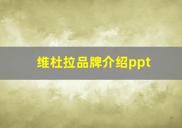 维杜拉品牌介绍ppt