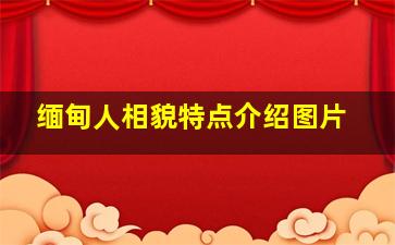 缅甸人相貌特点介绍图片