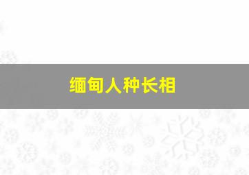 缅甸人种长相