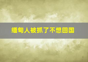 缅甸人被抓了不想回国