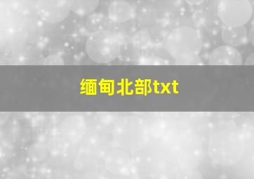 缅甸北部txt