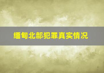 缅甸北部犯罪真实情况