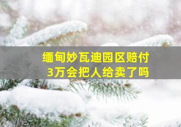 缅甸妙瓦迪园区赔付3万会把人给卖了吗