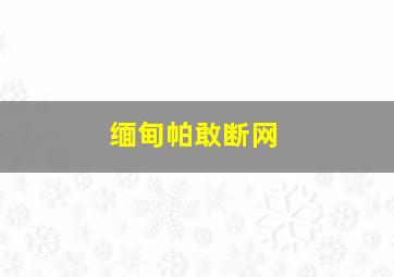 缅甸帕敢断网