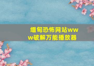 缅甸恐怖网站www破解万能播放器