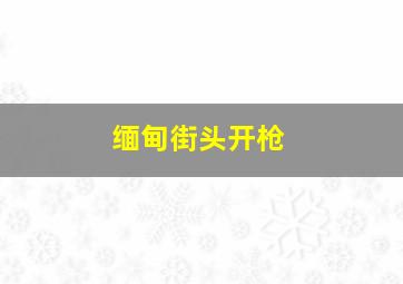 缅甸街头开枪