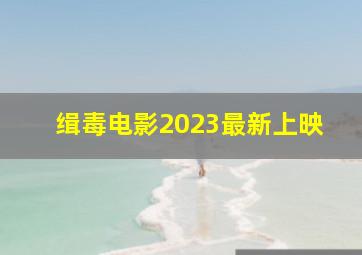 缉毒电影2023最新上映