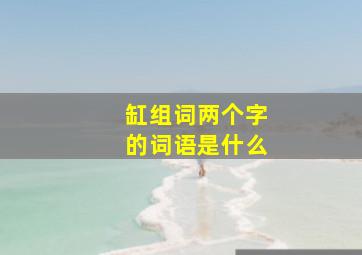 缸组词两个字的词语是什么