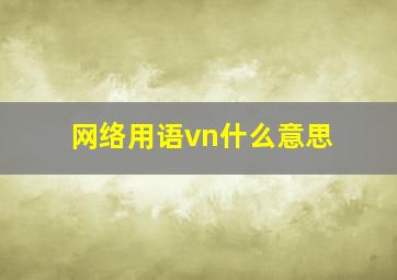 网络用语vn什么意思