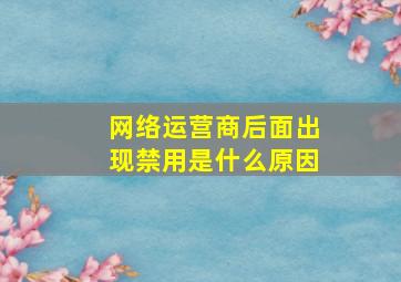 网络运营商后面出现禁用是什么原因