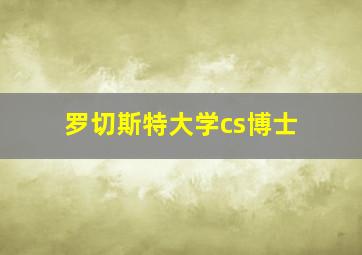 罗切斯特大学cs博士