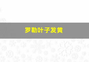 罗勒叶子发黄