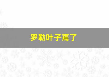 罗勒叶子蔫了