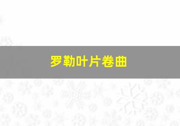 罗勒叶片卷曲