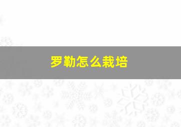 罗勒怎么栽培