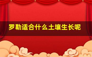 罗勒适合什么土壤生长呢