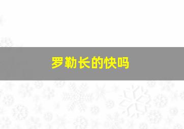 罗勒长的快吗