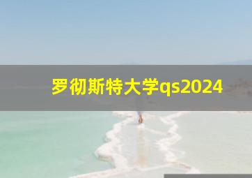 罗彻斯特大学qs2024