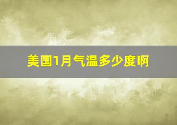 美国1月气温多少度啊