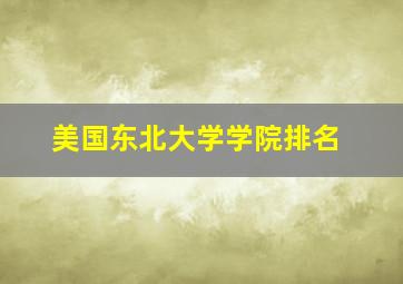 美国东北大学学院排名