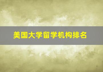 美国大学留学机构排名