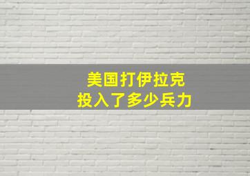 美国打伊拉克投入了多少兵力