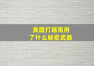 美国打越南用了什么秘密武器