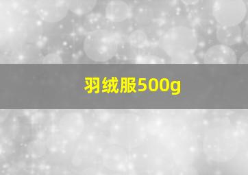 羽绒服500g