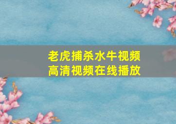 老虎捕杀水牛视频高清视频在线播放