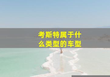 考斯特属于什么类型的车型