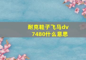 耐克鞋子飞马dv7480什么意思