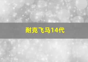 耐克飞马14代