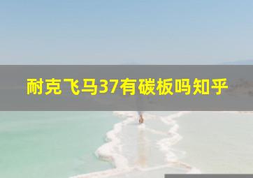 耐克飞马37有碳板吗知乎