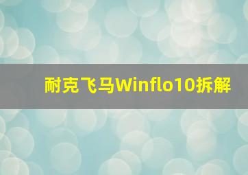 耐克飞马Winflo10拆解