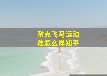 耐克飞马运动鞋怎么样知乎