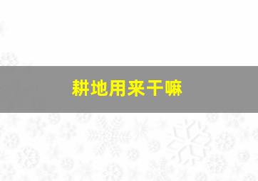 耕地用来干嘛