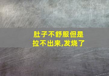 肚子不舒服但是拉不出来,发烧了