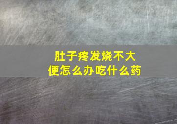 肚子疼发烧不大便怎么办吃什么药