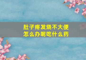 肚子疼发烧不大便怎么办呢吃什么药