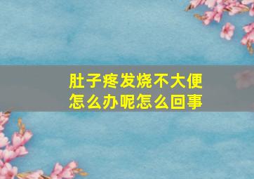 肚子疼发烧不大便怎么办呢怎么回事