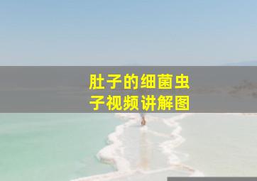 肚子的细菌虫子视频讲解图