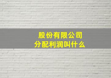 股份有限公司分配利润叫什么