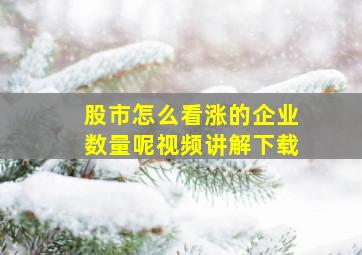 股市怎么看涨的企业数量呢视频讲解下载