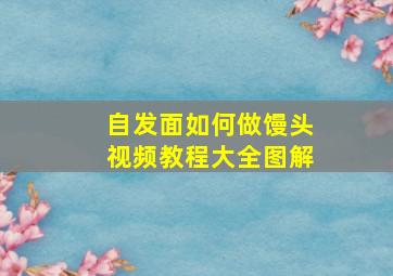 自发面如何做馒头视频教程大全图解