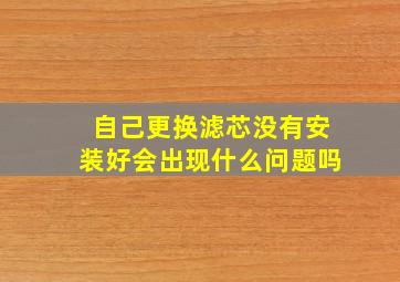 自己更换滤芯没有安装好会出现什么问题吗