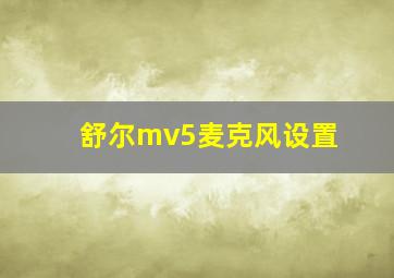 舒尔mv5麦克风设置