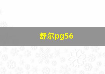 舒尔pg56