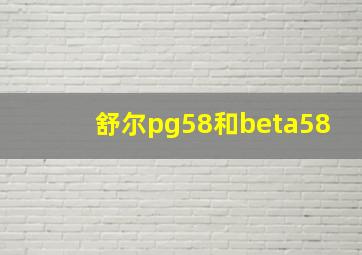 舒尔pg58和beta58