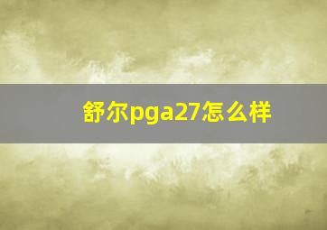 舒尔pga27怎么样